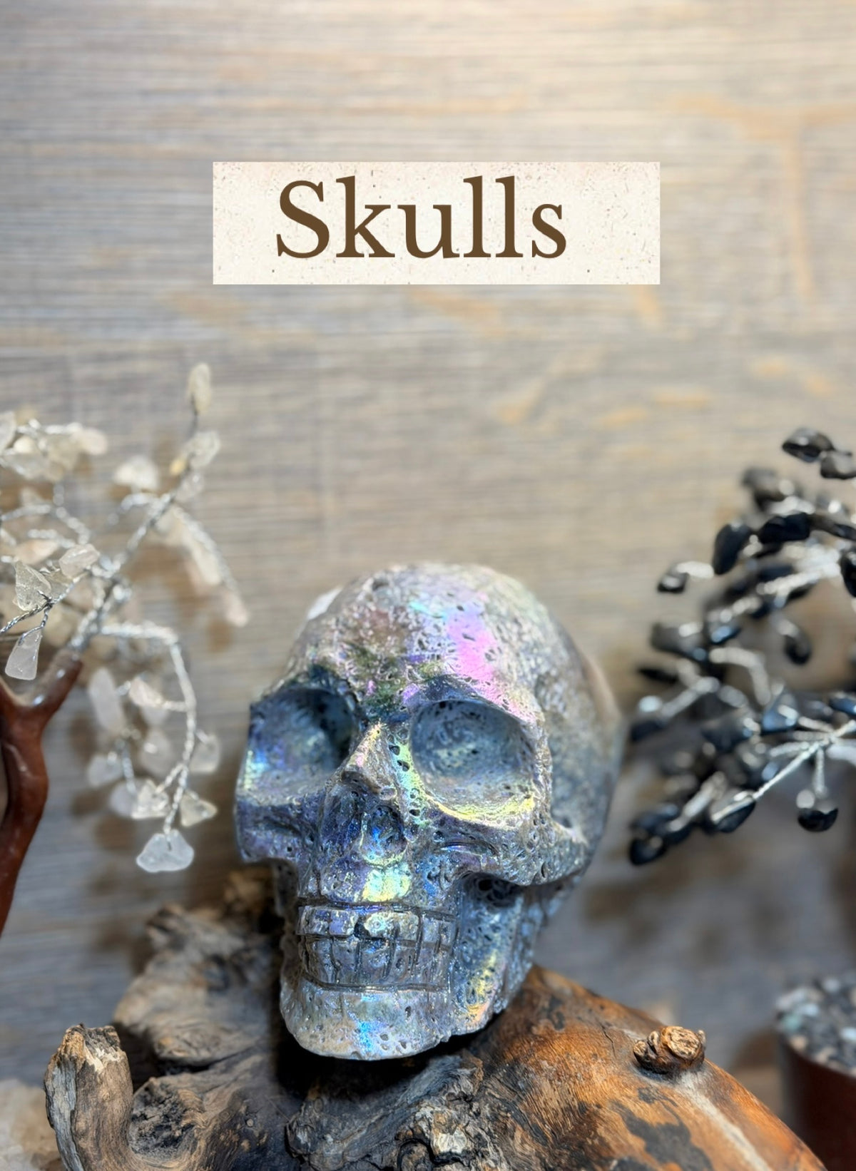 Skulls