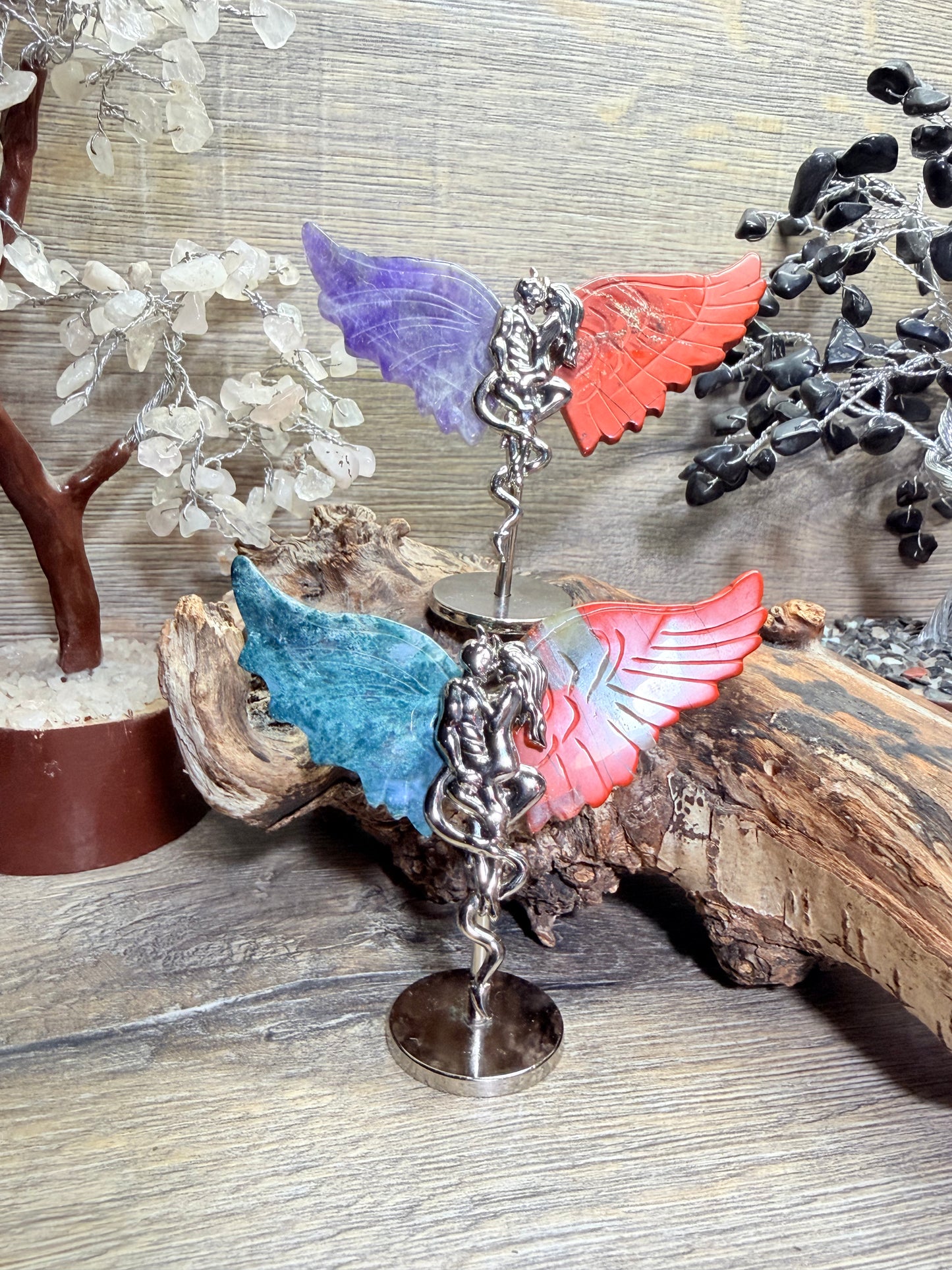 Angel & devil wings