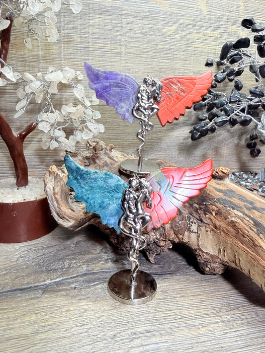 Angel & devil wings