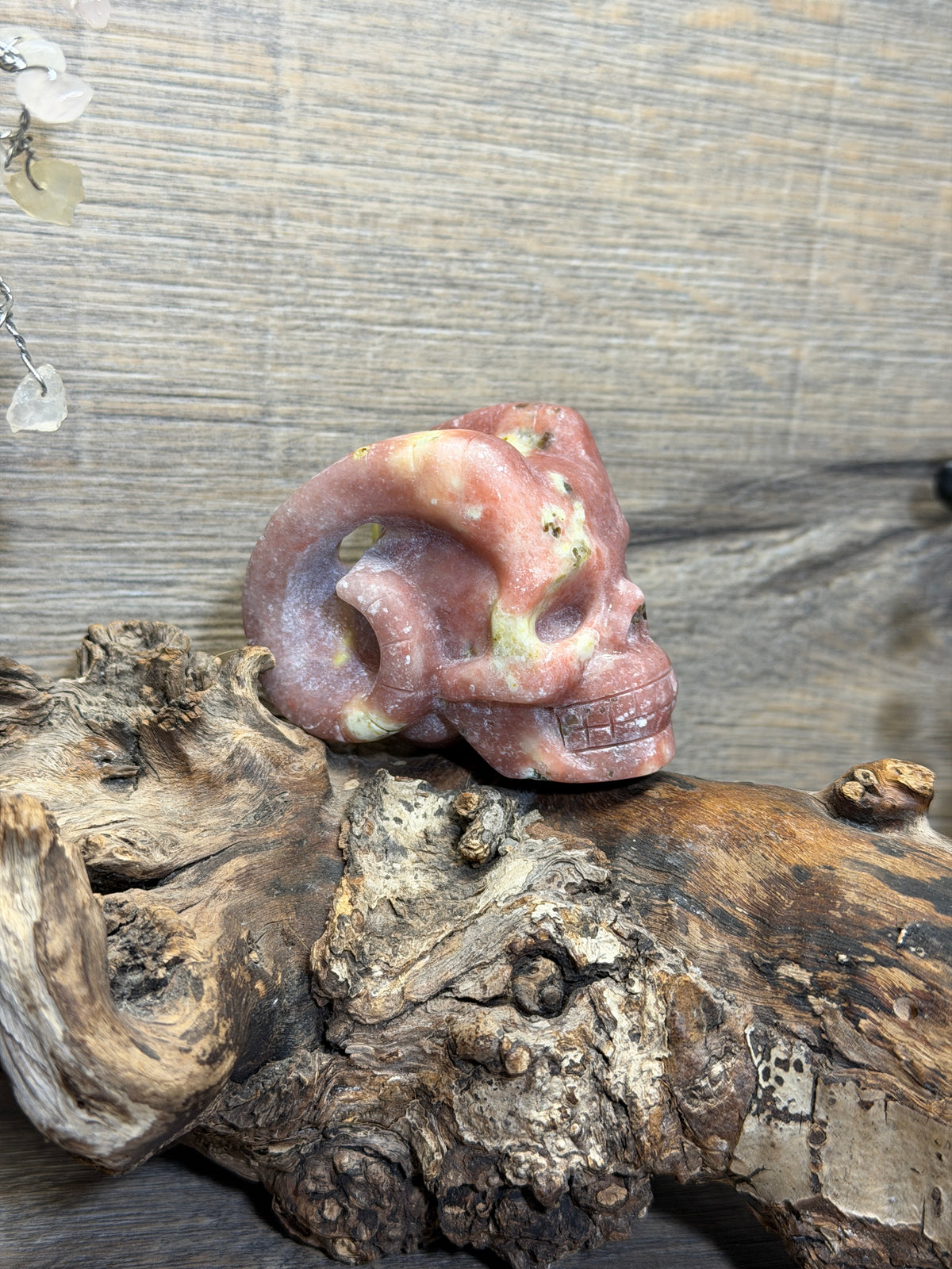 Pink aventurine serpentine horn skull carving (Skp100)