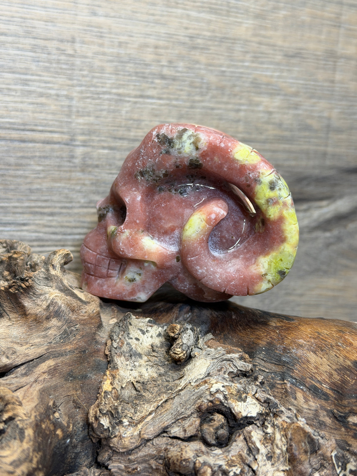 Pink aventurine serpentine horn skull carving (Skp100)