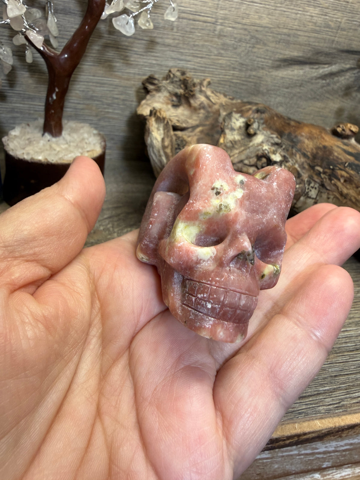 Pink aventurine serpentine horn skull carving (Skp100)
