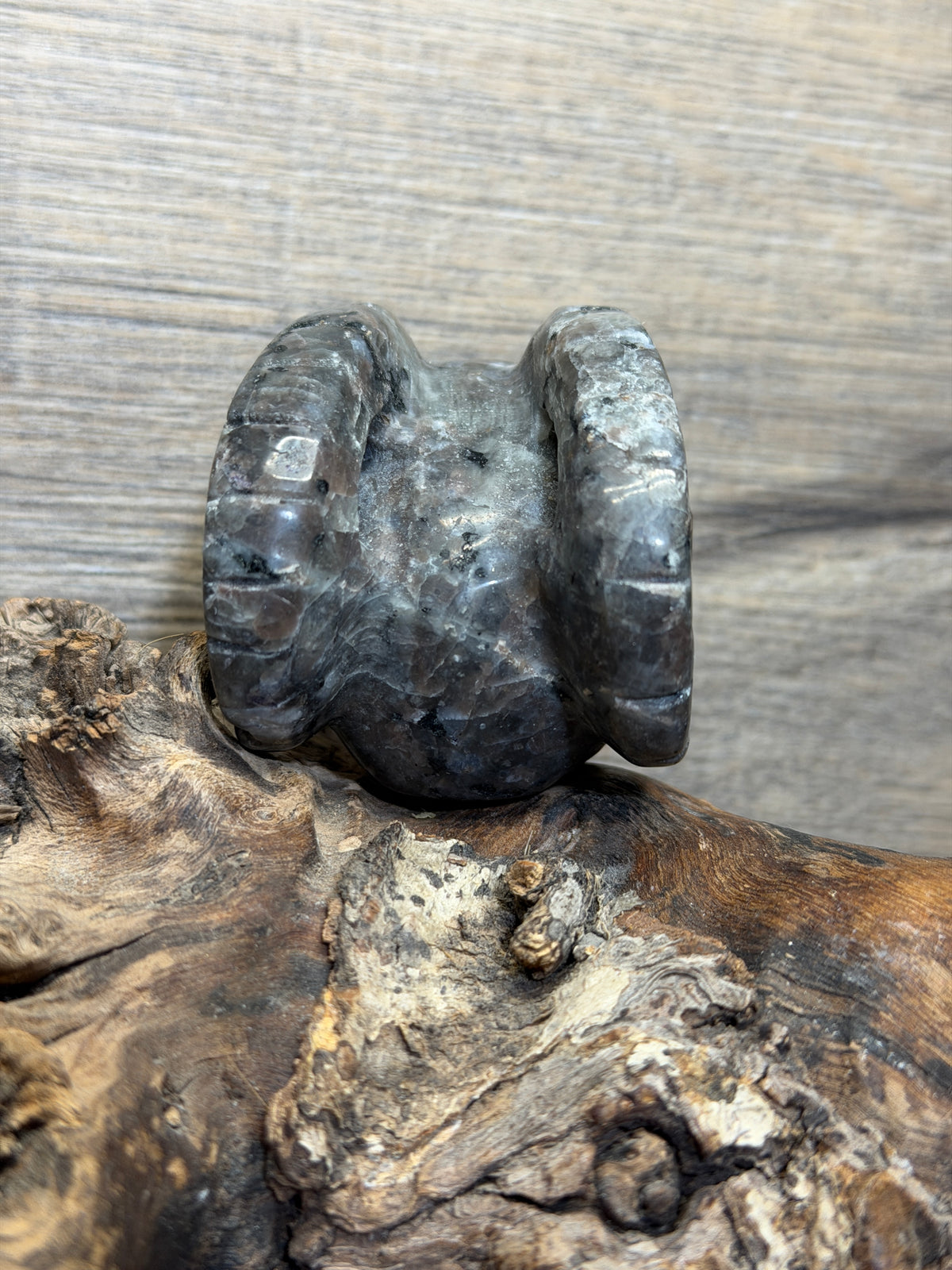 yooperlite skull  carving (SKp101)