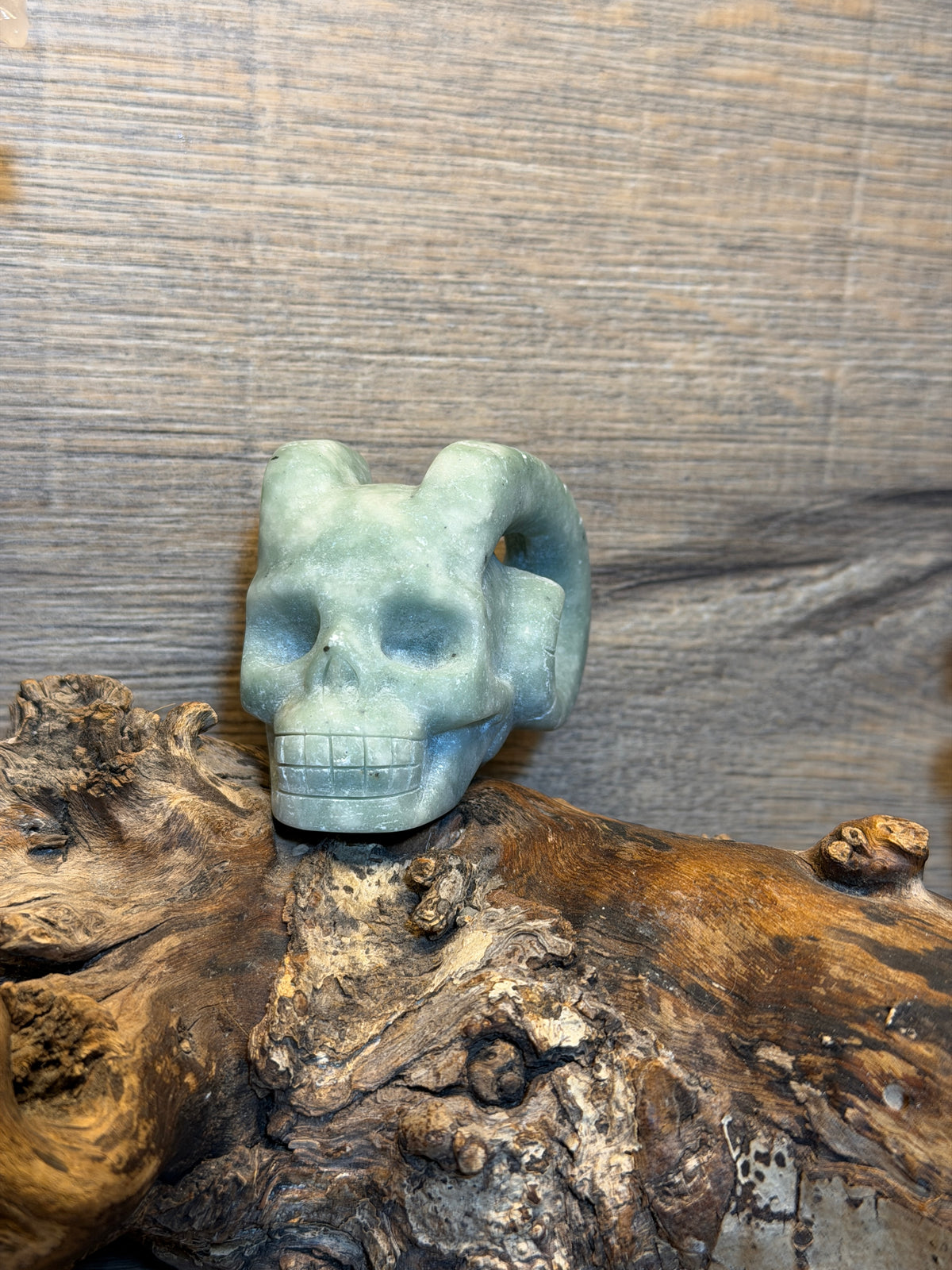 Green jade horn skull carving (Skp102)
