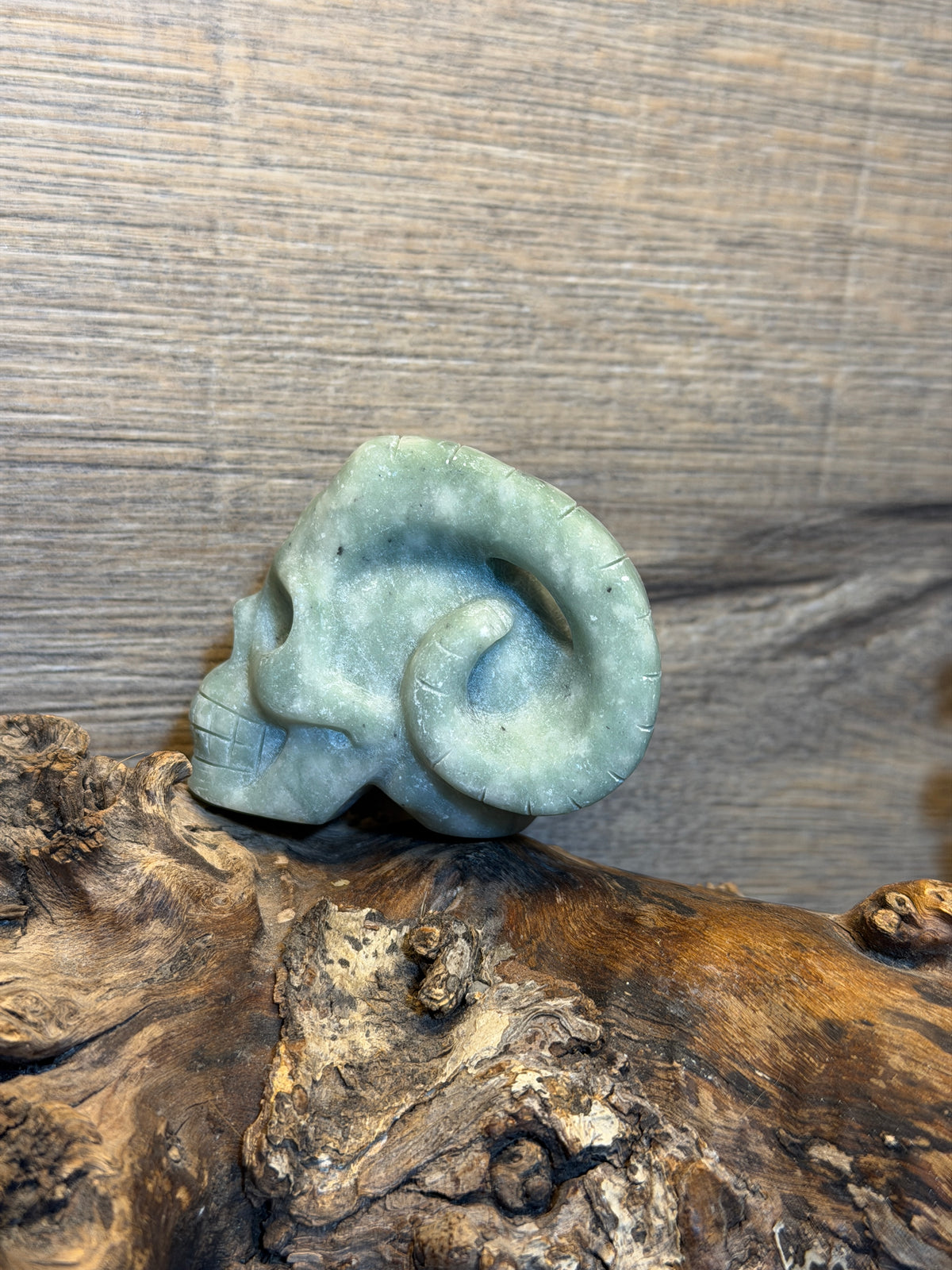 Green jade horn skull carving (Skp102)